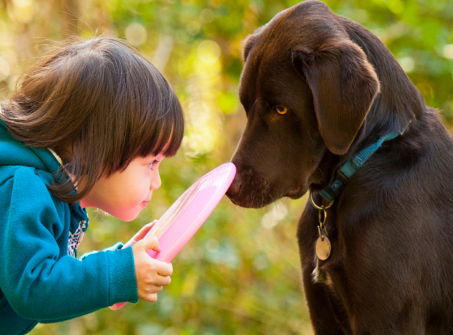 Dog Bite Safety featured image